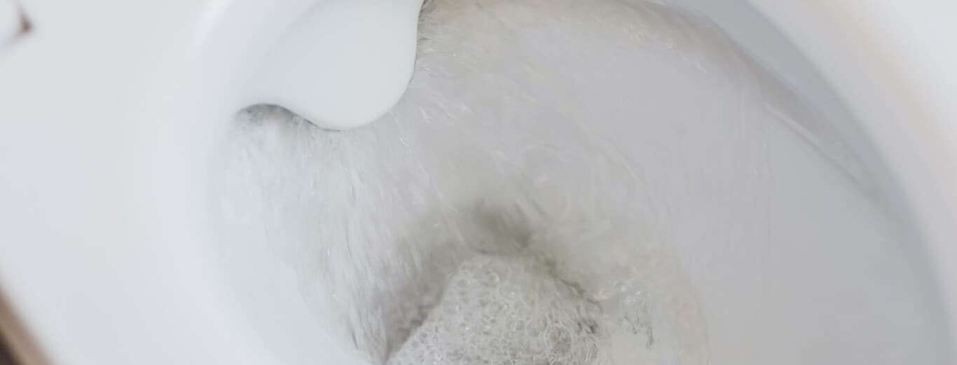 El truco viral de echar vinagre alrededor del inodoro, bajo la lupa de la ciencia: qué hay de mito y qué de química