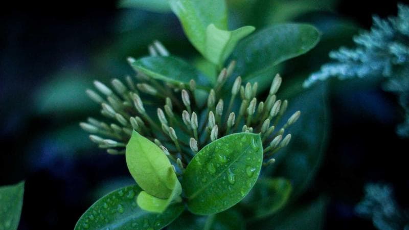 Nouveau vélo électrique Decathlon, les voitures électriques Xiaomi étonnent et le lithium menacé – Récap’ Survoltés