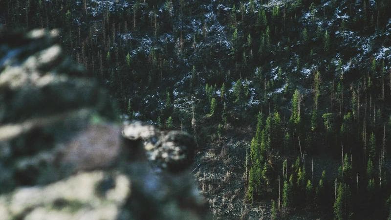 JO 2030: "J'ai une ambition très élevée pour ces Jeux", assure Edgar Grospiron, président du Comité d'organisation