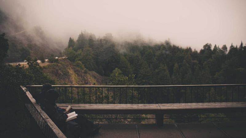 Etats-Unis : l’ICE, une police anti-immigration opaque et décomplexée comme bras armé du régime trumpien