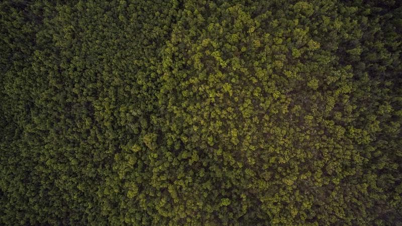 La mode masculine se tourne vers la broderie pour séduire les hommes en quête de nouveauté - FashionUnited