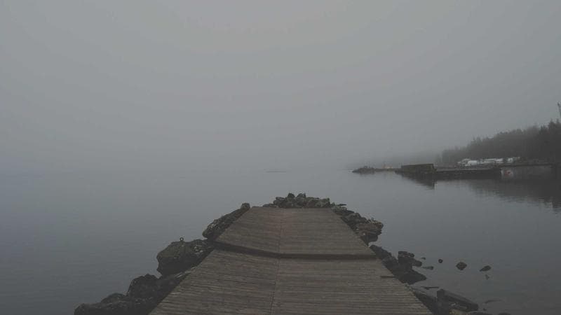 "C'est l'un des plus beaux films en couleur jamais réalisés" : Martin Scorsese adore ce chef-d'oeuvre noté 4 sur 5 et réalisé par un Français