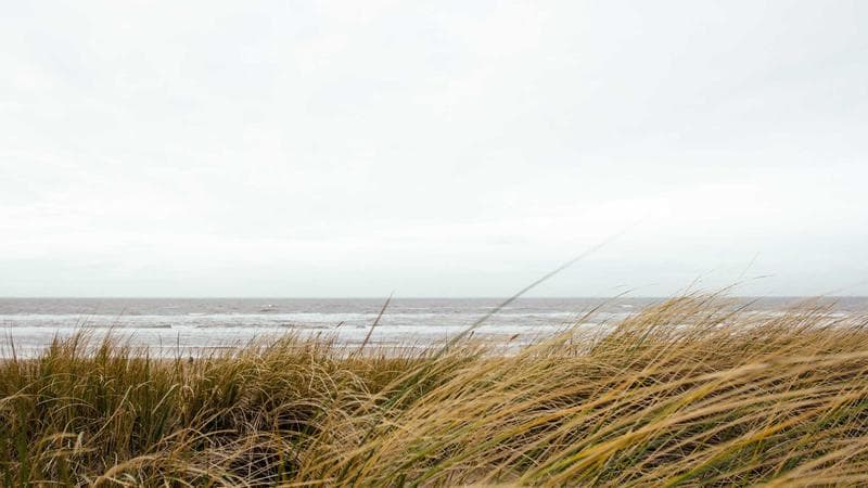 RegenBox : peut-on vraiment donner une seconde vie aux piles « jetables » ?