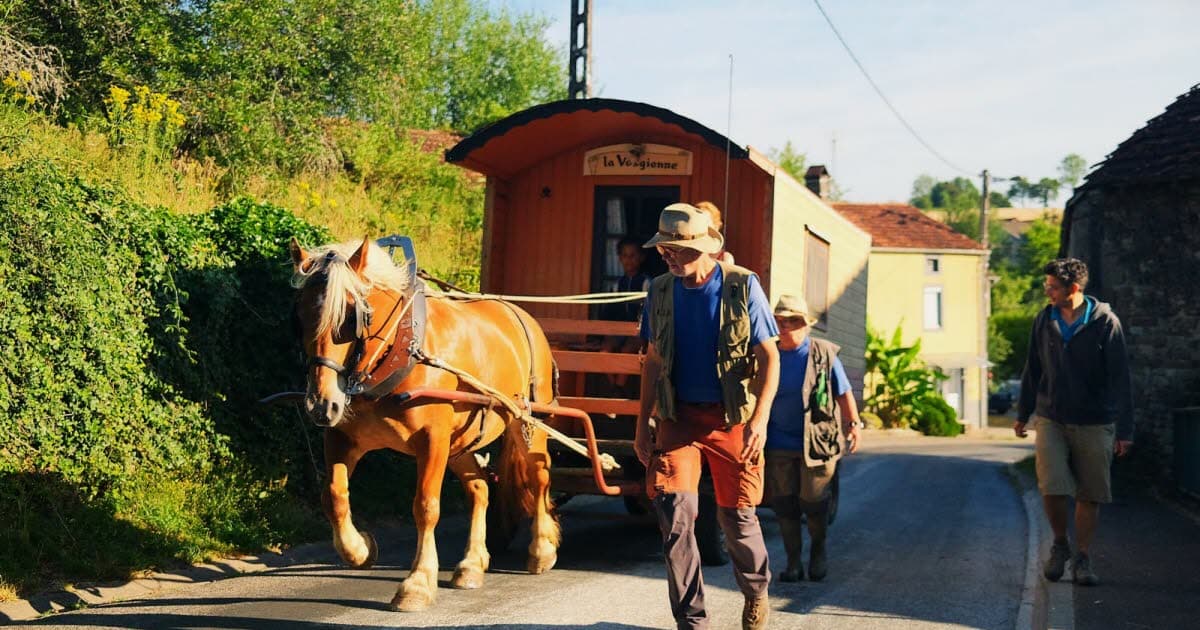Les nouvelles tendances des vacances. Partir quelques jours en roulotte avec des chevaux « trilingues » en Haute-Saône