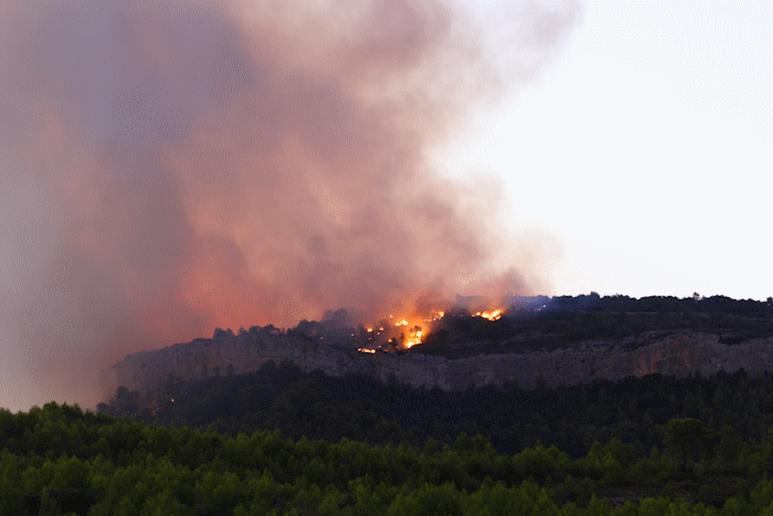 Feux de forêts : danger élevé sur la moitié sud et l’ouest du pays | Météo-France