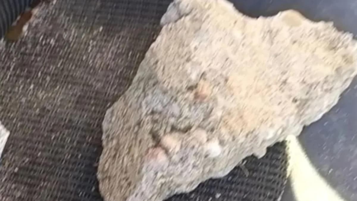 Un menor de 16 años, investigado por la Guardia Civil tras arrojar una piedra desde un puente de la AP-41 y dejar en estado crítico a un conductor