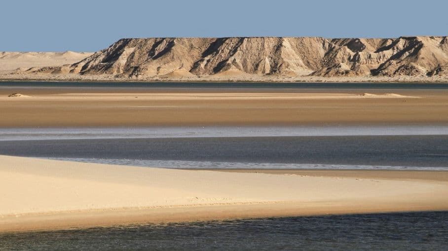 Le festival international du film du Sahara appelle à boycotter "L'Odyssée", en partie tourné au Sahara occidental