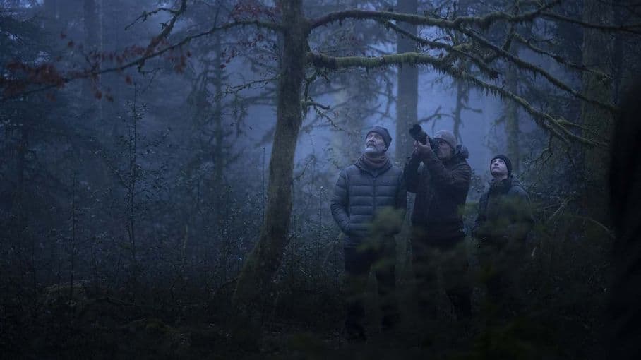 "Le Chant des forêts" : après "La Panthère des neiges", Vincent Munier nous invite chez lui pour contempler la vie secrète des forêts vosgiennes